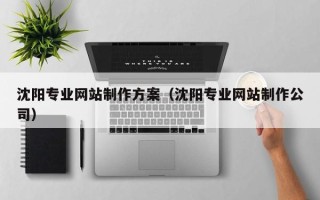 沙洋沈阳专业网站制作方案（沈阳专业网站制作公司）